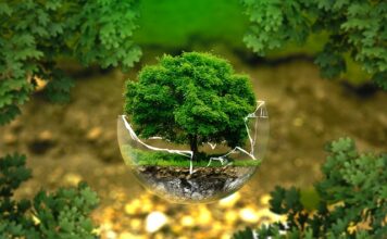 Jak długo boli noga po operacji biodra?