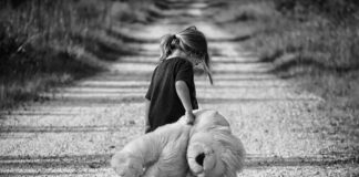 Gdzie kupić misie z Rossmanna?