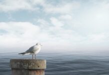 Jak uspokoić dziecko z zespołem Aspergera?