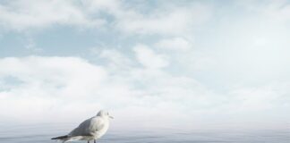 Jak uspokoić dziecko z zespołem Aspergera?