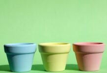 Jak często trzeba opróżniać jądra?