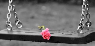 Co oglądać z dziećmi pod mikroskopem?