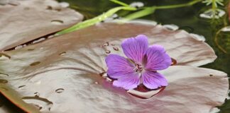 Kiedy można kłaść dziecko na poduszce?