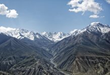 Co lepsze Hipp czy Bebiko? Co lepsze Hipp czy Bebiko?