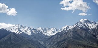 Co lepsze Hipp czy Bebiko?