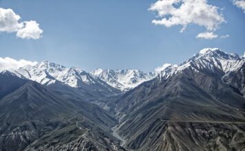 Co lepsze Hipp czy Bebiko? Co lepsze Hipp czy Bebiko?