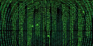 Skąd się wzięła nazwa Teddy Bear?