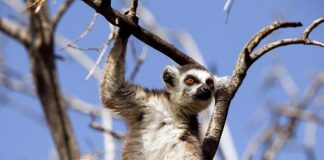 Jak rozmawiać z dzieckiem o jego złym zachowaniu?