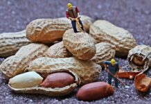 Dlaczego w przedszkolach Montessori dzieci pracują a nie bawią się?