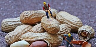 Dlaczego w przedszkolach Montessori dzieci pracują a nie bawią się?