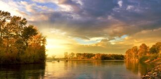 Kiedy kończy się sezon na komary?